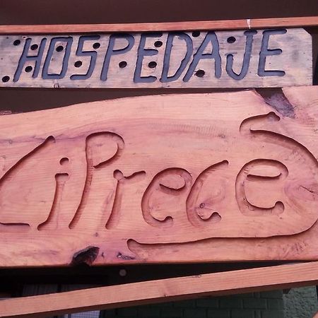 Hospedaje Los Cipresesコイハイケ エクステリア 写真